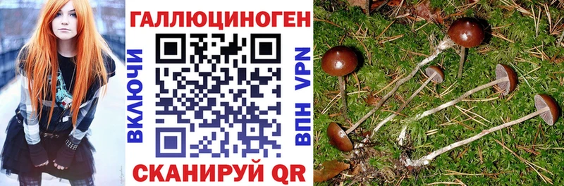 Псилоцибиновые грибы Magic Shrooms  omg рабочий сайт  Раменское 