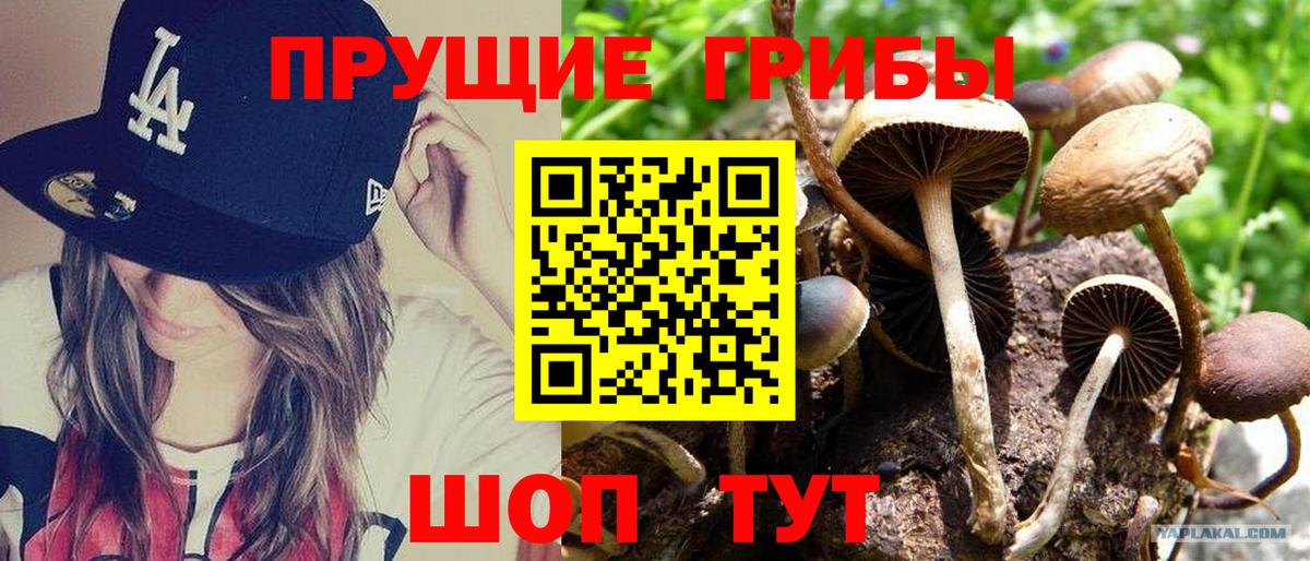 Галлюциногенные грибы ЛСД Раменское