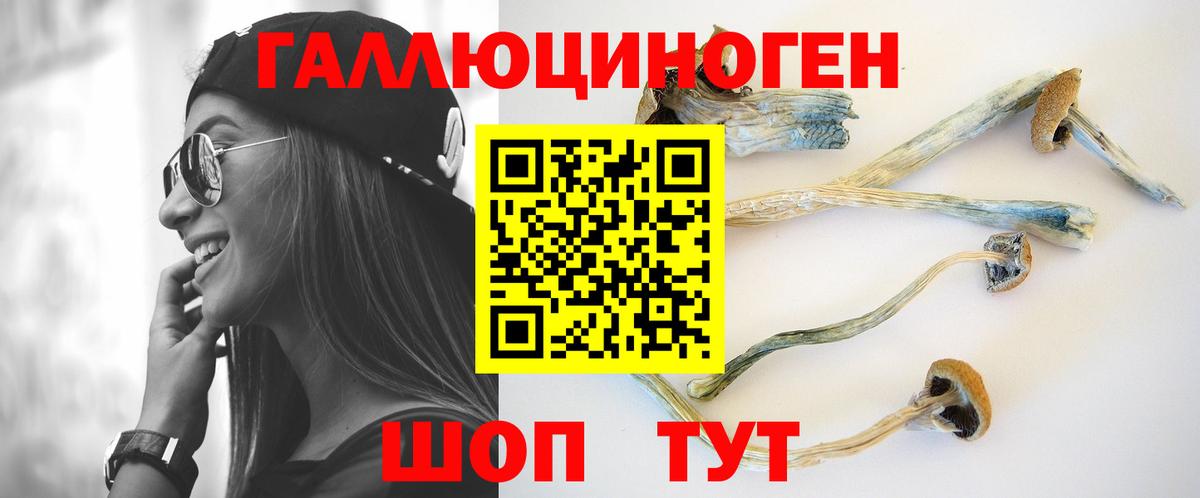 Псилоцибиновые грибы прущие грибы  Вход с VPN  Раменское 